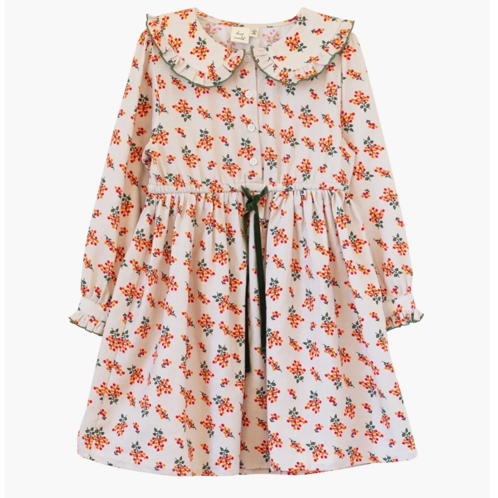 Beet World | Girls Adelaide Velvet Tie Dress I
Autumn Floral Size 3-4Y